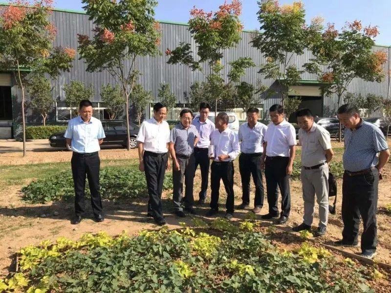2019年十堰郧阳区gdp_十堰郧阳区胡建华照片