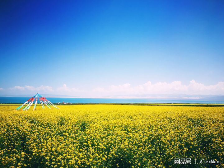 怎样让自己变得阳光一点 6820b81bdb21485780dc591bfe773c28.jpeg