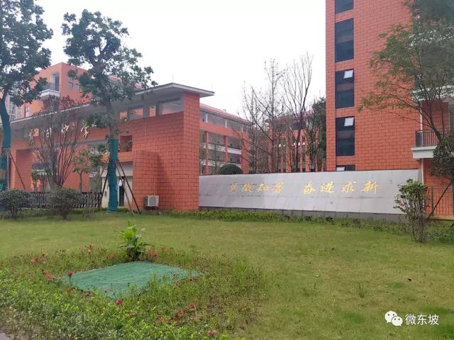 寥寥数语,字字珠玑丨看东坡新学校新校训_苏洵