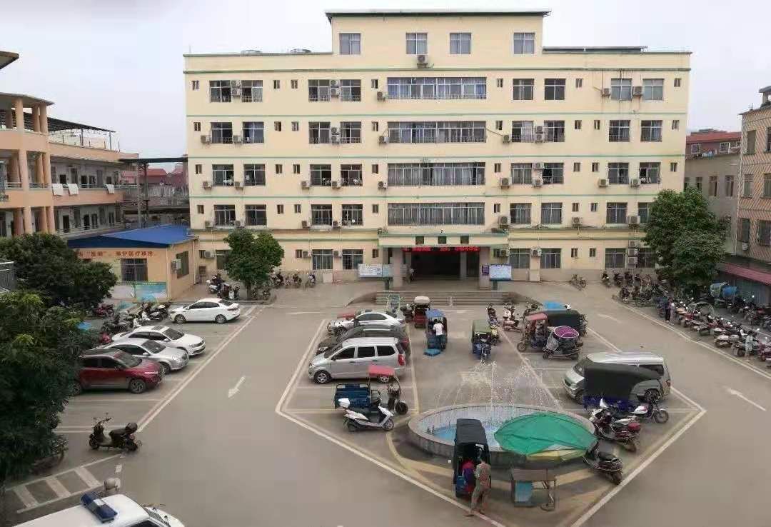 东龙镇有多少人口_北流隆盛镇有多少人口