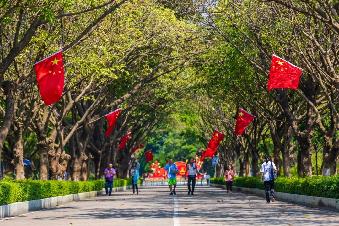 国庆节日气氛渐浓,五星红旗燃爆禺山大地!