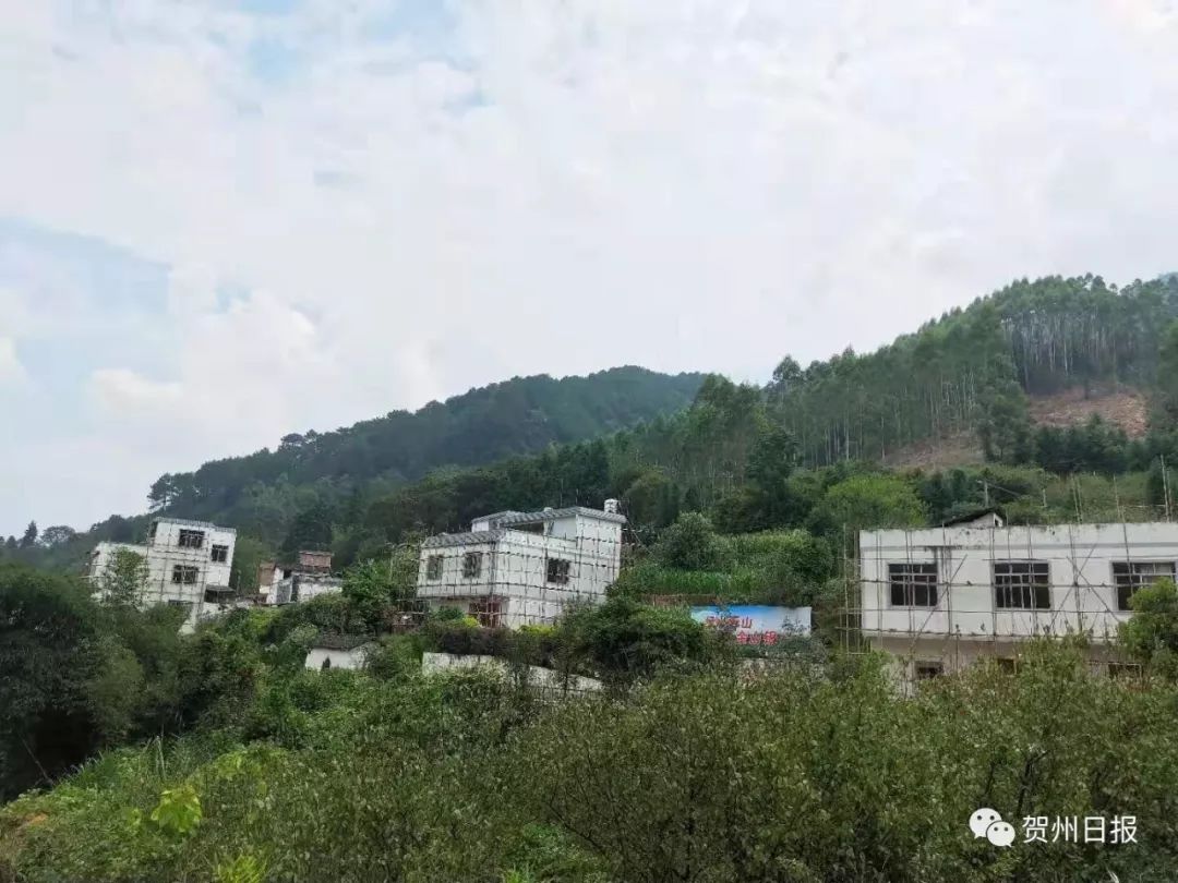 广西贺州有多少人口_广西贺州图片(2)