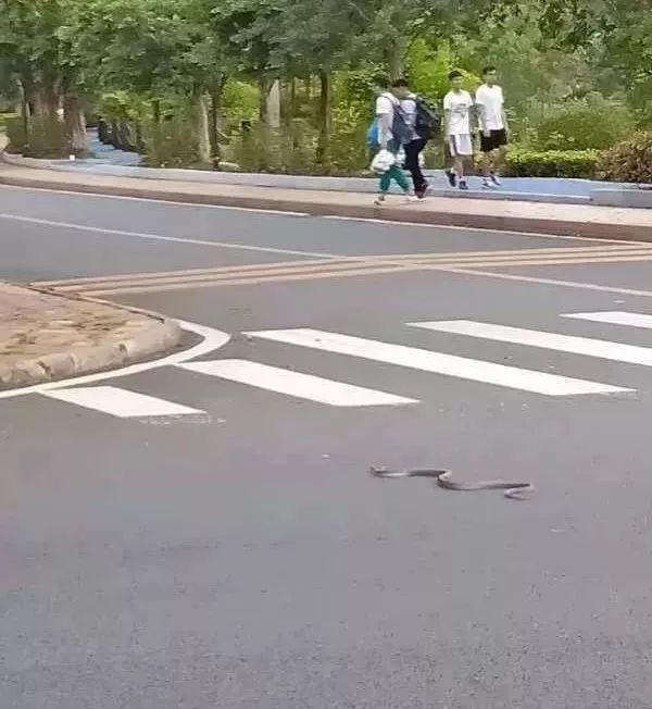 广州城建人口_广州城建职业学院