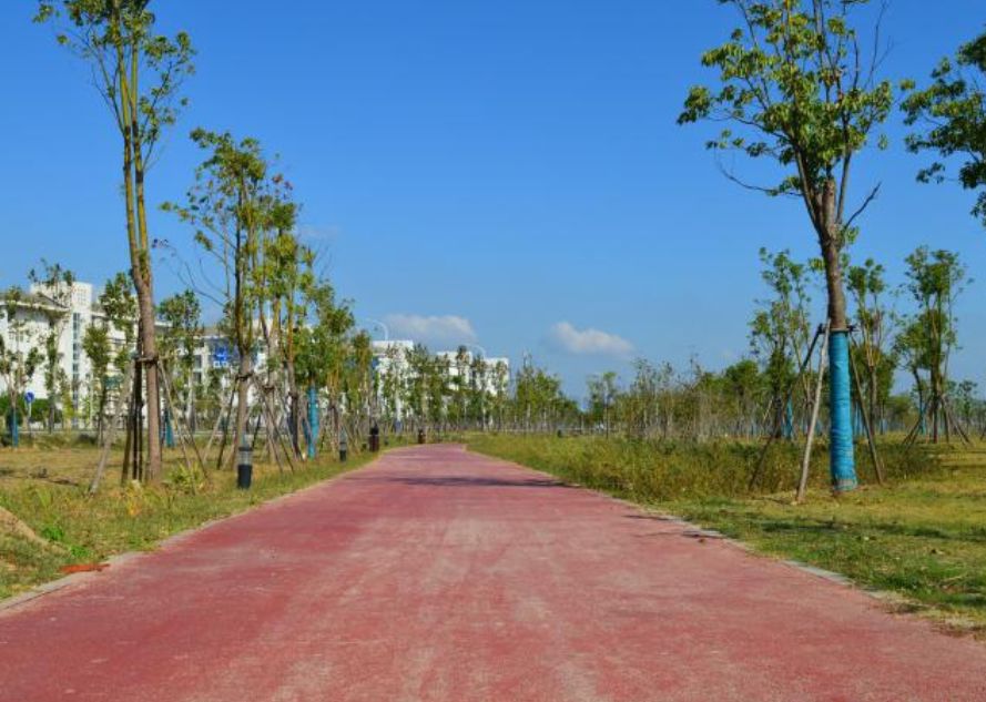 超多图片速看安庆秦潭湖湿地公园已现趋型工程进展迅速