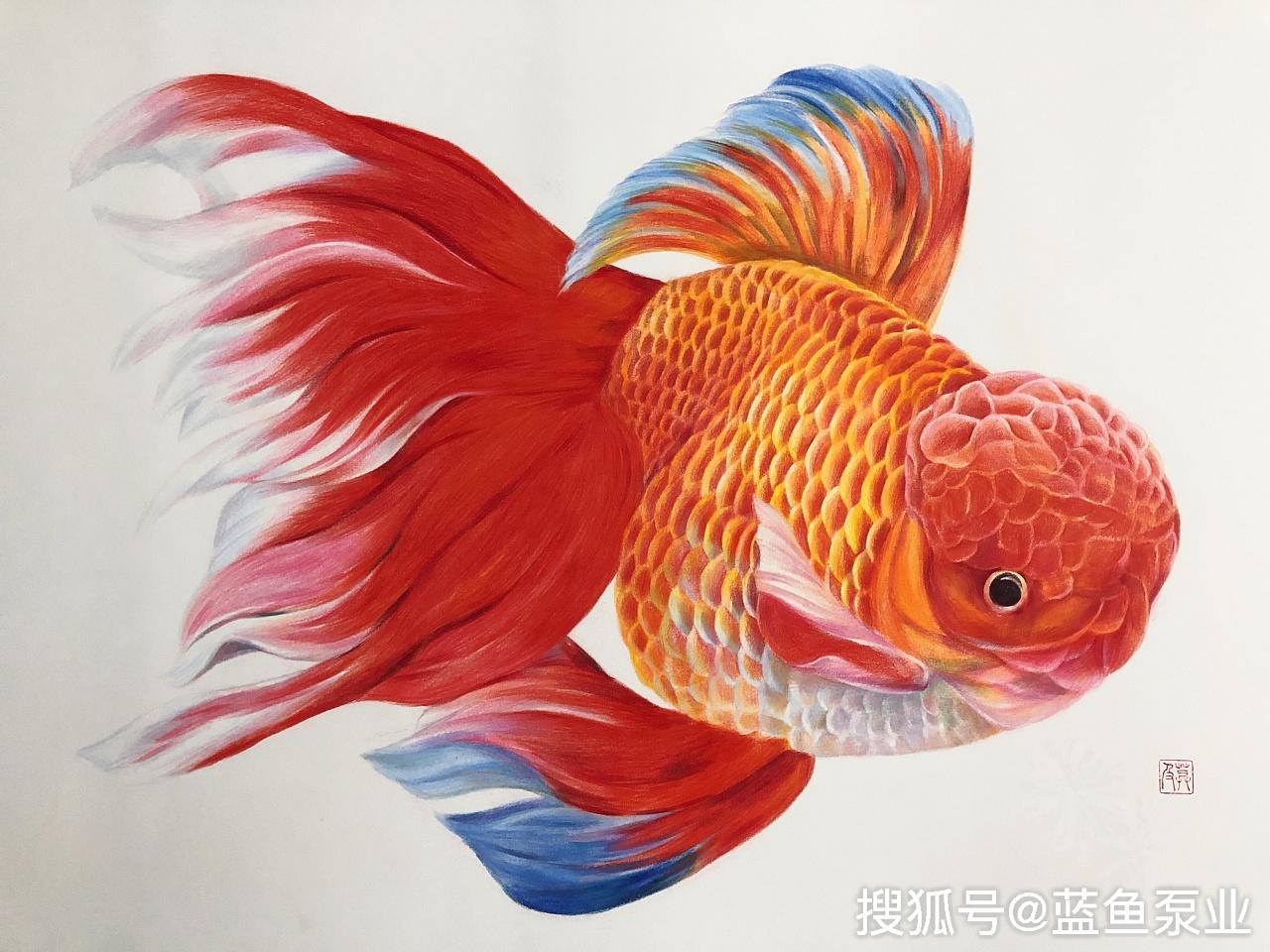 金鱼绘画-水墨金鱼