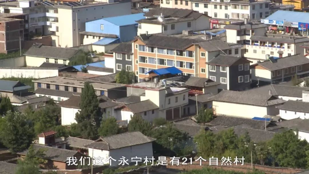 宁夏永宁人口_宁夏永宁闽宁镇全景图(2)