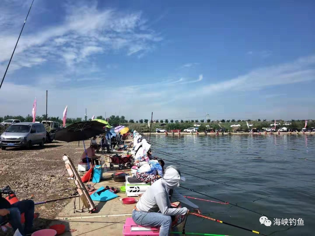 钓鱼 9月14日15日,四类国赛在中秋节来到了来到了天津静海花园钓场,秋