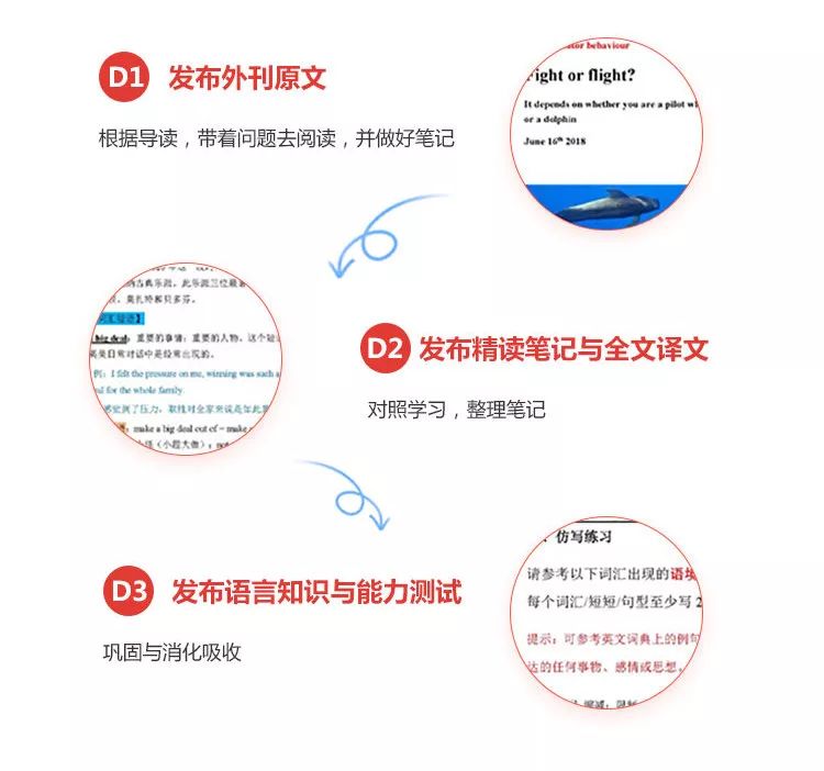 afef48576eda455581f74fabe49ae1ec.jpeg