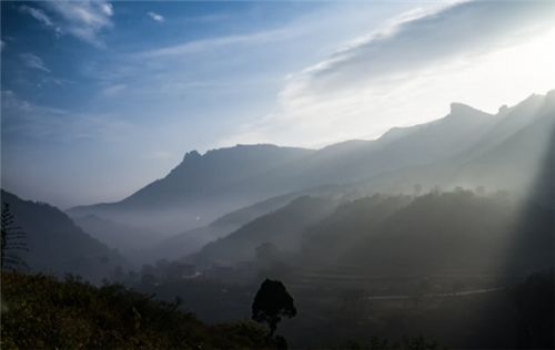 530年能繁衍多少人口_2021年日历图片