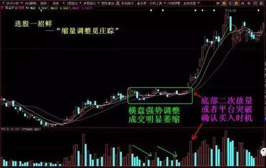 四大步骤助你抄底:从识别庄家建仓洗盘形态到必然大涨