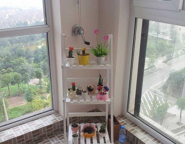 一进门放什么花比较好 c188fa1e19b444059090c87f5dd3be5c.jpeg