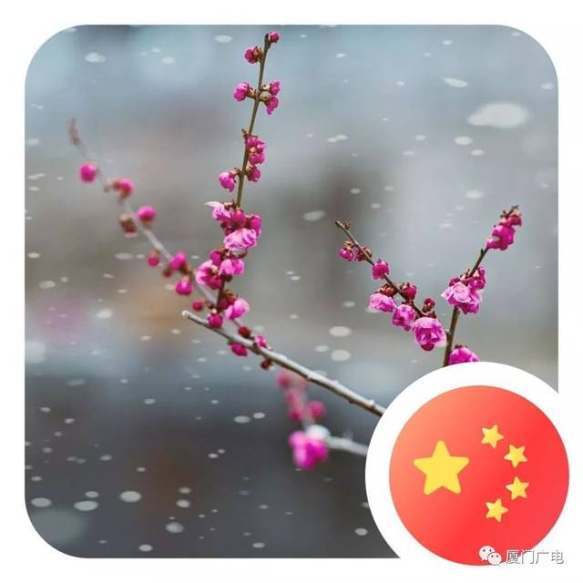 微信头像加国旗违法?网友慌了!律师说.