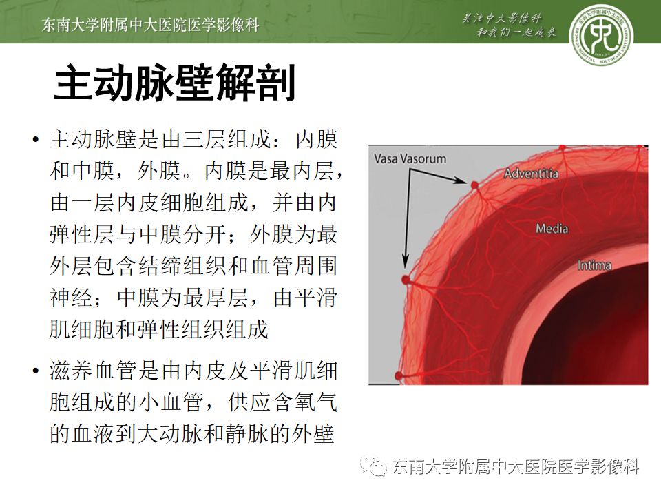 ct 增强 编辑/校对:郑孝飞 病例结果:主动脉夹层,stanford a型 返回搜