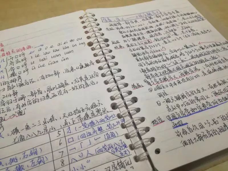 鱼的记忆真的有七秒吗科学证明 c8311e3e4d9f450784ea106a0decadf8.jpeg