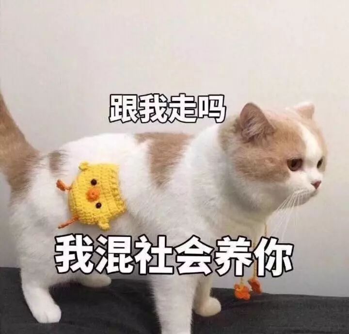 cc94cef03f8f40df94574ae28686a0e8.jpeg