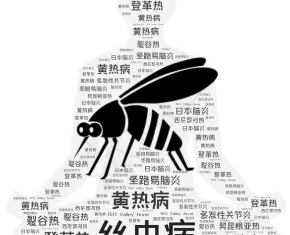 正确选择四害消杀你应该知道这些丨宏文有害生物防治技术学校