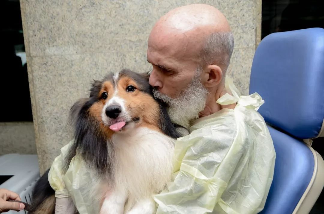 主人因患上癌症被医生“判死刑”，直到他的狗来探病