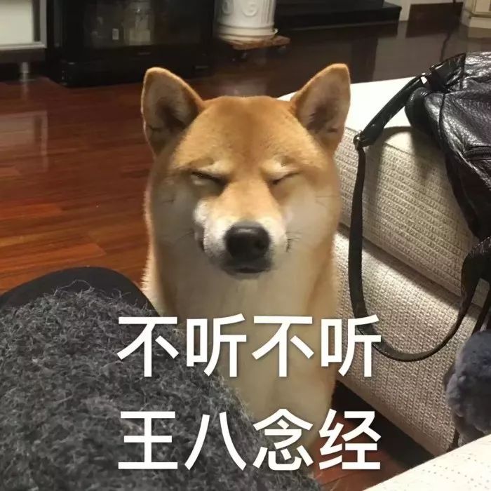 撒娇猫咪最好命狗子我承认我嫉妒了