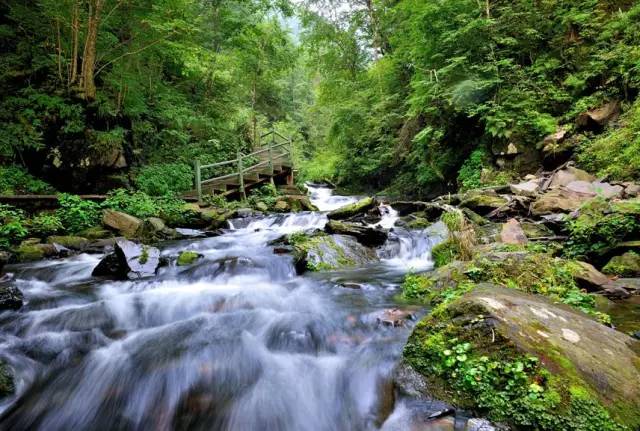 国庆.高海拔赏秋:黑龙江凤凰山大峡谷 空中花园两日游