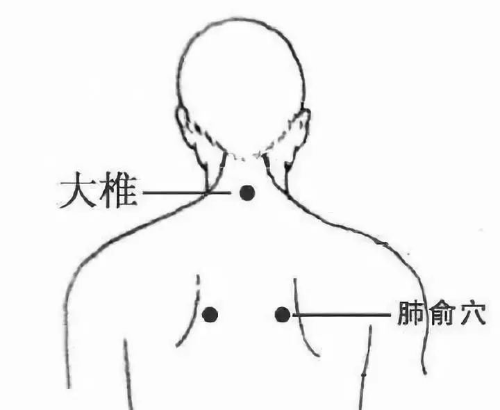 肺俞穴在背部,当第3胸椎棘突下,旁开1.5寸,此穴为双穴,左右各一.