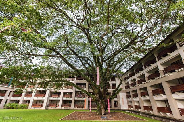 泰国旅行,因为电影《泰囧》在清迈住了艾美,在