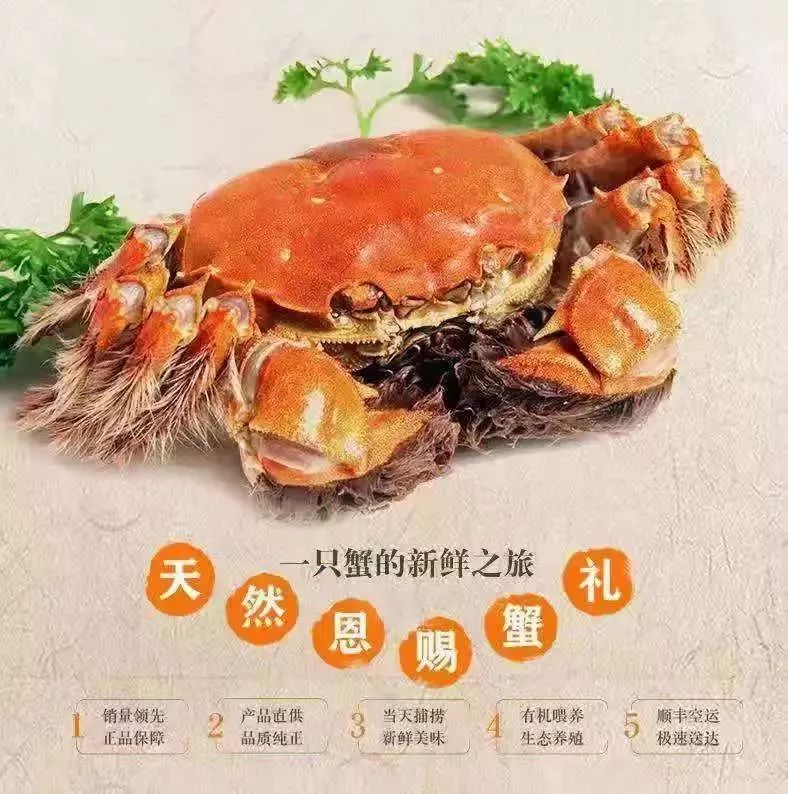 246b2df374824a2f9dbf7c6a6dfb1e80.jpeg