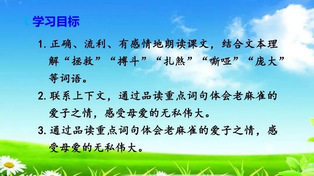 25e15cdd2e7e4b0ab66f5d4493ed7f2f.JPG