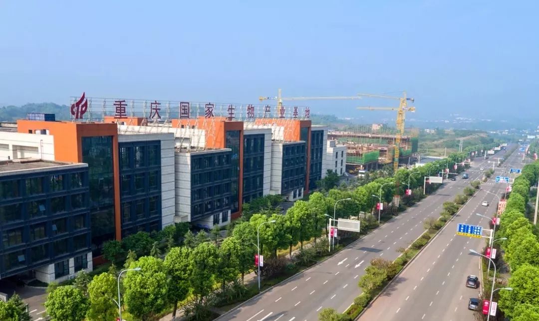 壮丽70年 奋斗新时代丨坚守初心 勇担使命 重庆高新区