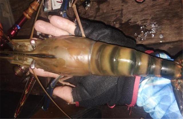 水是什么东西变成的 32acab0f2f5f45879055263d89b77826.jpeg