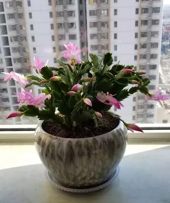 3d9546c7dda7421992d5b017a81019d7.jpeg