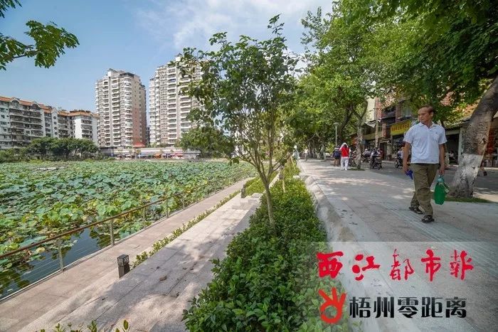 梧州这份城市建设提质工作的成绩单你会点赞吗