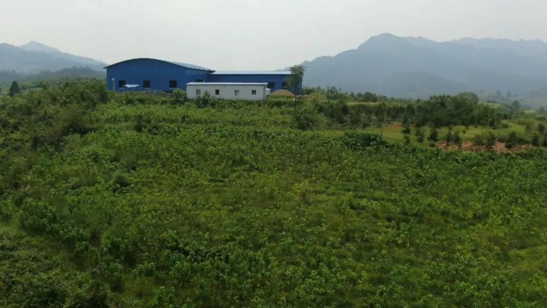 上洞街乡人口(2)