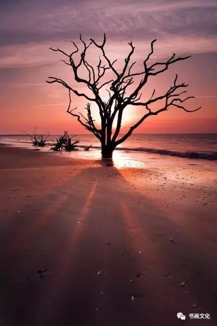 仓央嘉措的简谱_仓央嘉措情歌简谱(3)