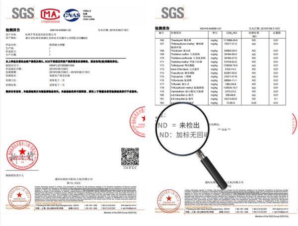 残疾人口比例_中国人口结构比例图(3)