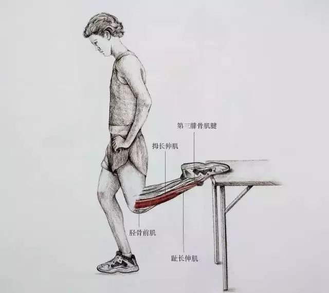 怎么拉伸大腿前肌肉酸痛 5467a2da87924be8a89e989c86367758.jpeg