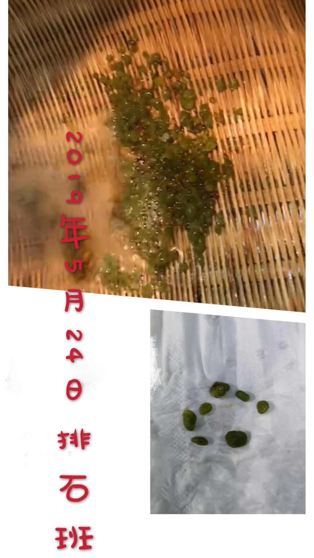 65d45415adf64bc8a15b9e76ee5241ff.jpeg