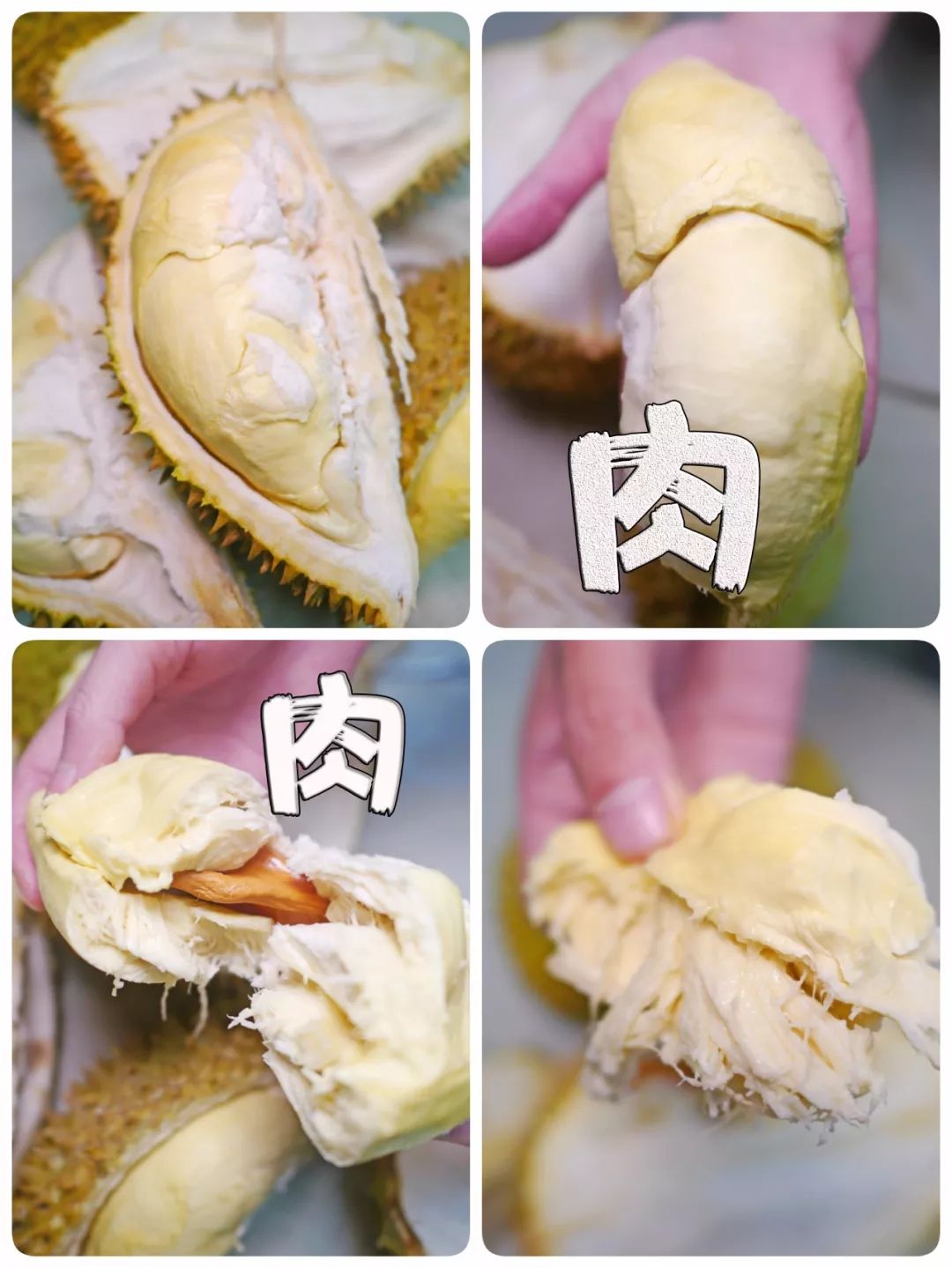 金枕榴莲怎么挑选果肉香甜 65f9f186f53c4ad4b67119ccba603cf0.jpeg