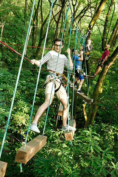 飞越丛林探险乐园风靡全球丛林冒险