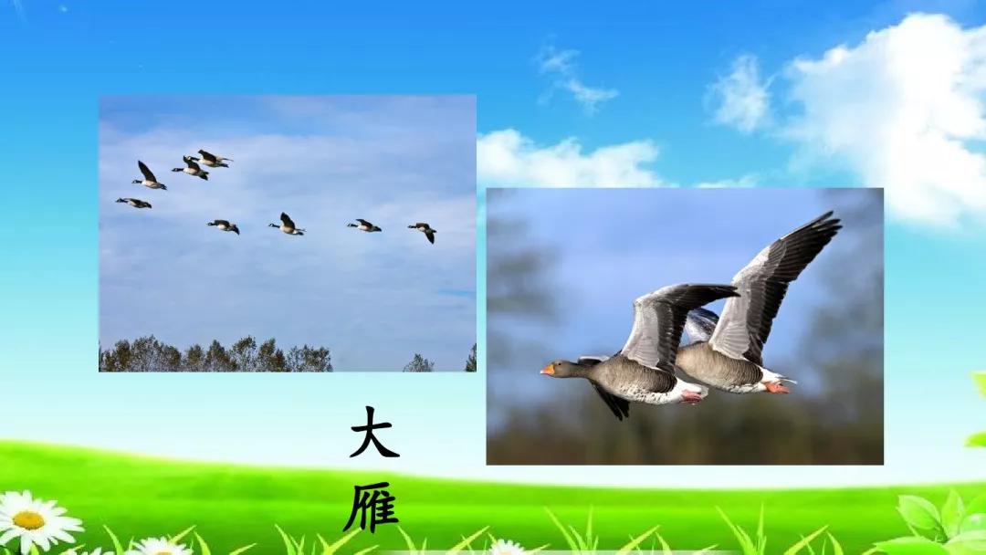 7054023c56f34252bf45ae397a789ee4.JPG