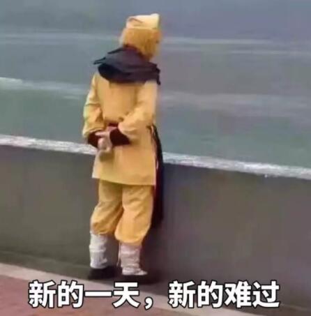 妆度雪颜亮肤健康水怎么用