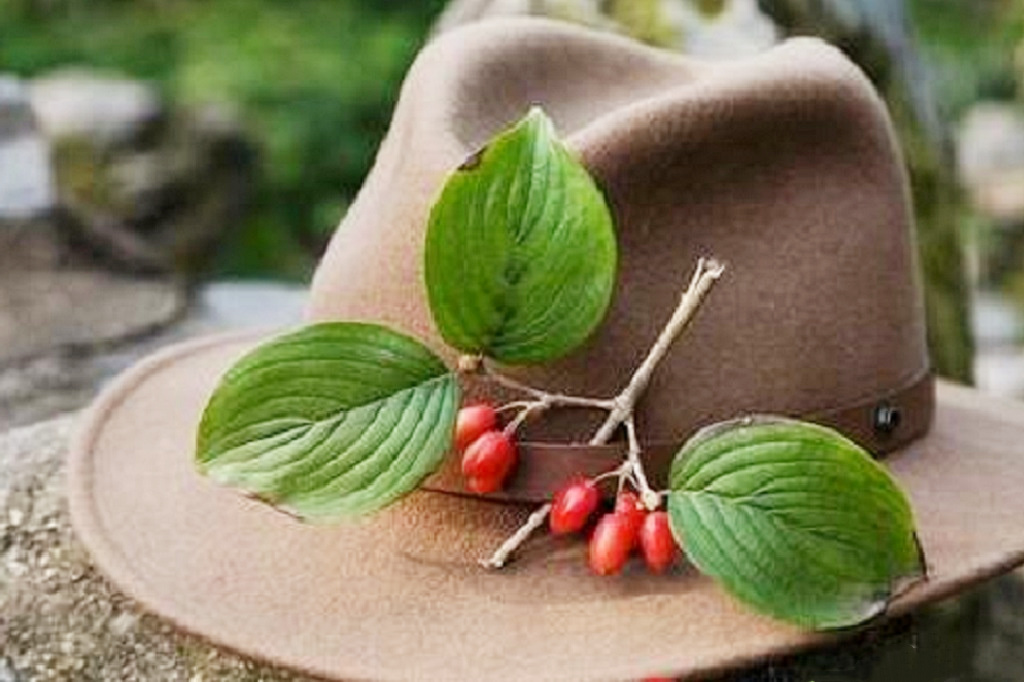 重阳节为什么要插茱萸?重阳节为何被称为"茱萸节"