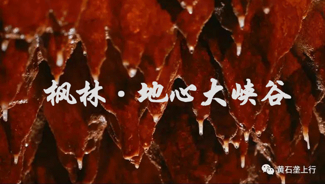 他们太大胆了,国庆节竟然提前两天放假!