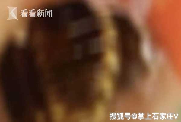 怎么能让自己哭的撕心裂肺 87d9c715872843e8b5a4a743b0331d50.jpeg