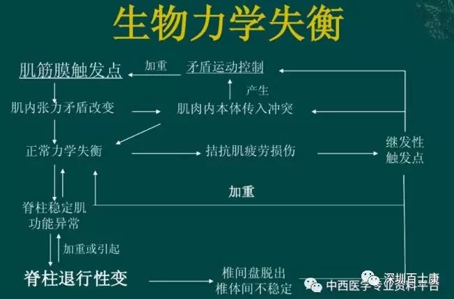 筋膜学疼痛与扳机点(一)_肌肉