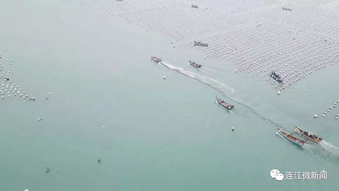 可门港人口(3)