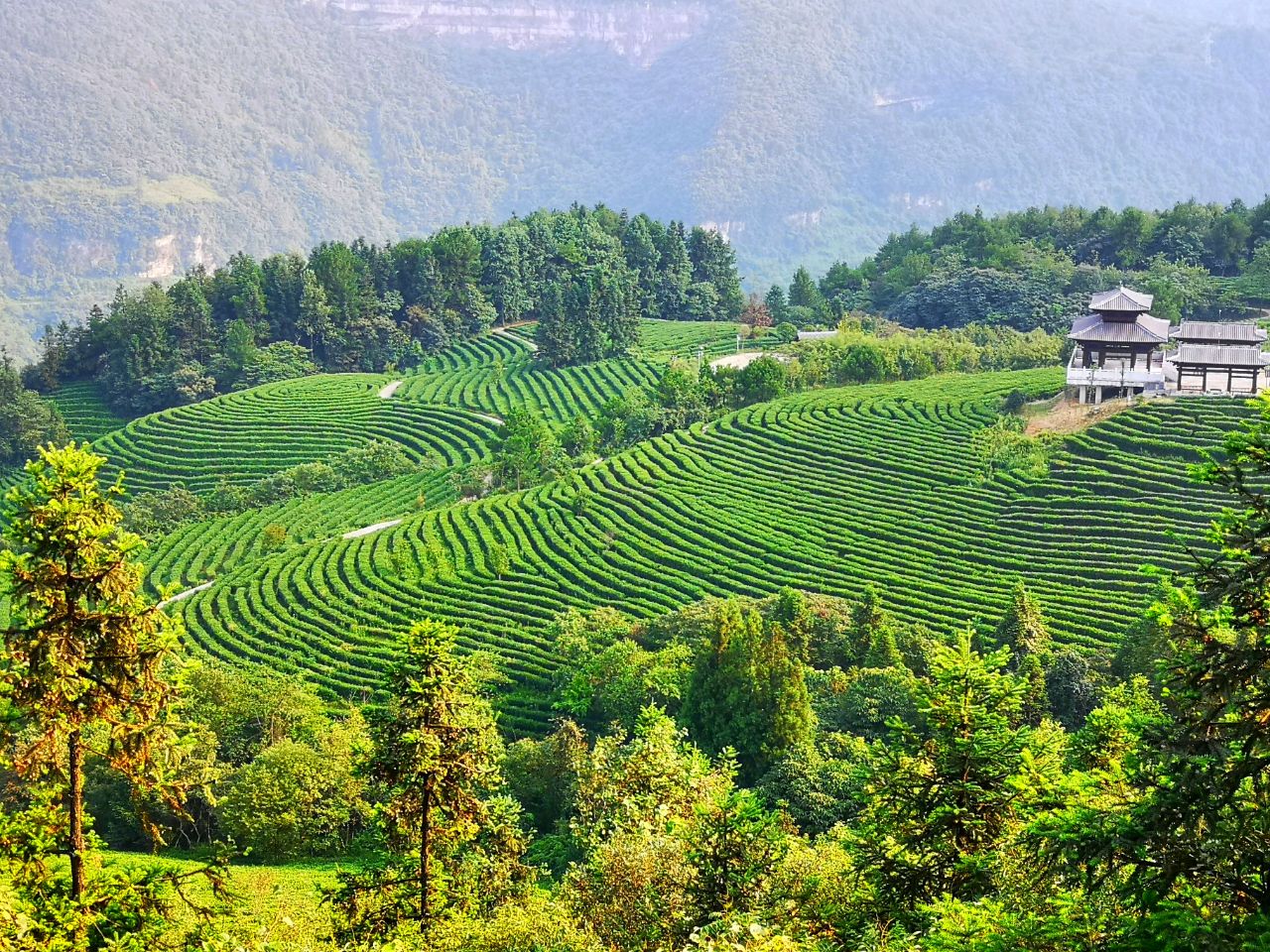 爱情新地标，白马山天尺情缘全新推出飞天之吻