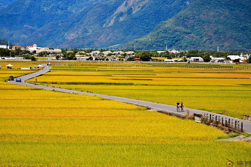 农村人口地_农村地锅灶台图片