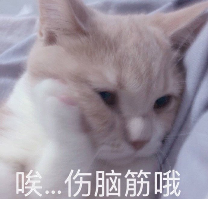 可爱的猫咪表情包合集哥哥出来玩吗