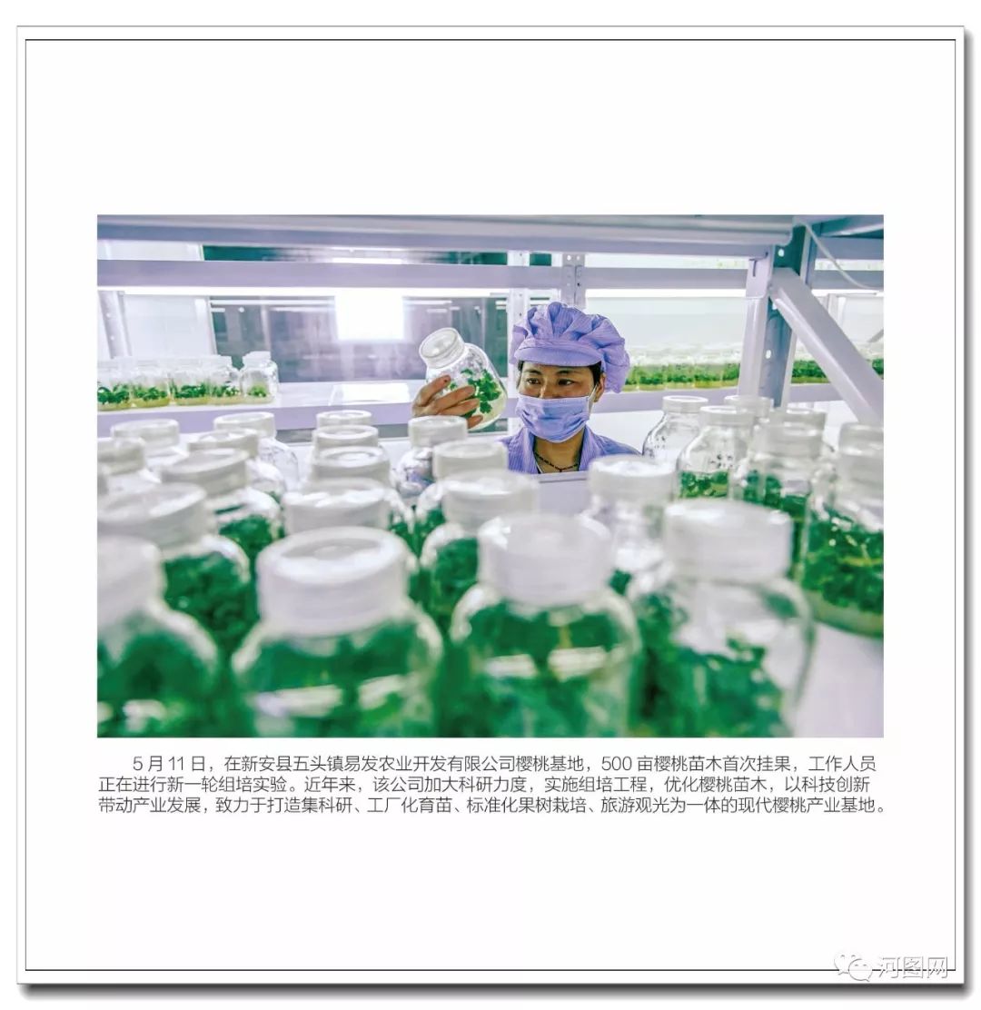 洛阳历年经济总量_河南省洛阳经济李希君(3)
