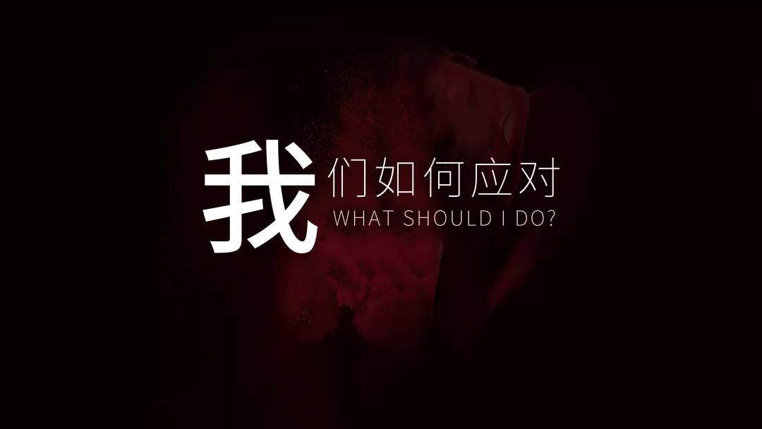 社交电商社交电商让生活更精致 黄寿仙女士于《网易态度公开课》
